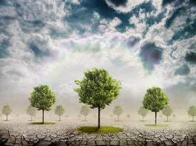 shutterstock_68757715
