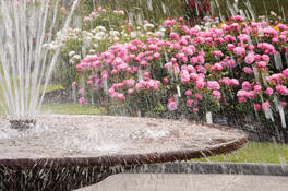 shutterstock_114884050