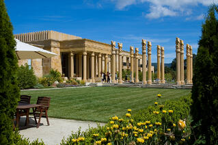 Bay_Area_Landscaping_San_Jose.jpg