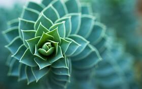 shutterstock_114884050