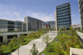commercial landscape maintenance san jose-bay area