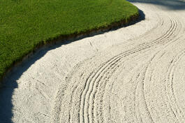 Commercial Landscape Management in the Bay Area
