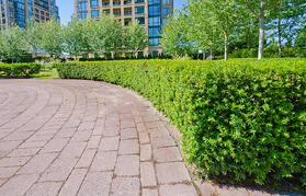 commercial landscape maintenance san jose-bay area