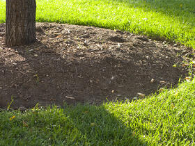 commercial landscape maintenance san jose-bay area