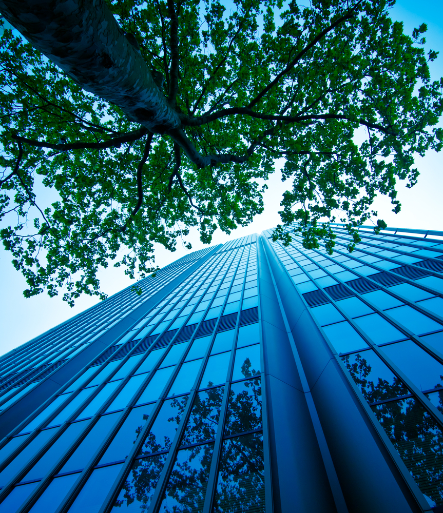 commercial landscape maintenance san jose-bay area