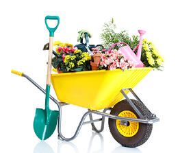 commercial landscape maintenance san jose-bay area