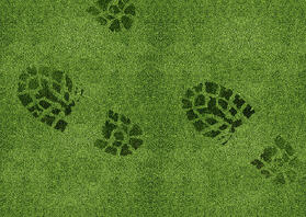 commercial landscape maintenance san jose-bay area