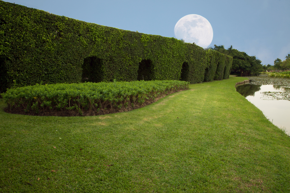 commercial landscape maintenance san jose-bay area