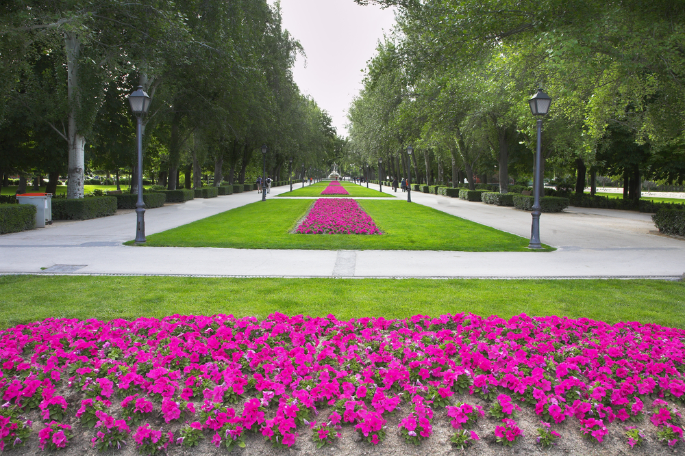 commercial landscape maintenance san jose-bay area
