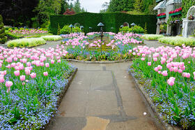 commercial landscape maintenance san jose-bay area