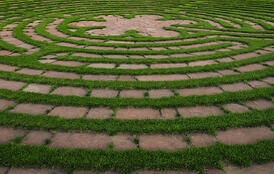 Corporate_Lawn_Care