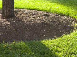 HOA_Landscaping