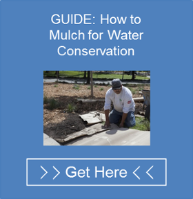 New Call-to-action