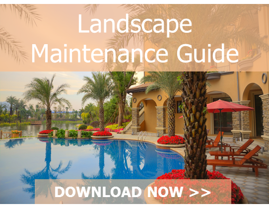 CTA_Maintenance_Guide-_VVI-1