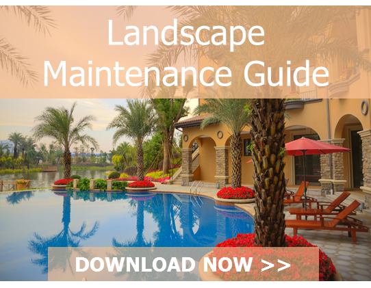 HOA_Maintenance_Guide