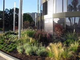 Commercial Landscaping Contractor in the San Jose Bay Area