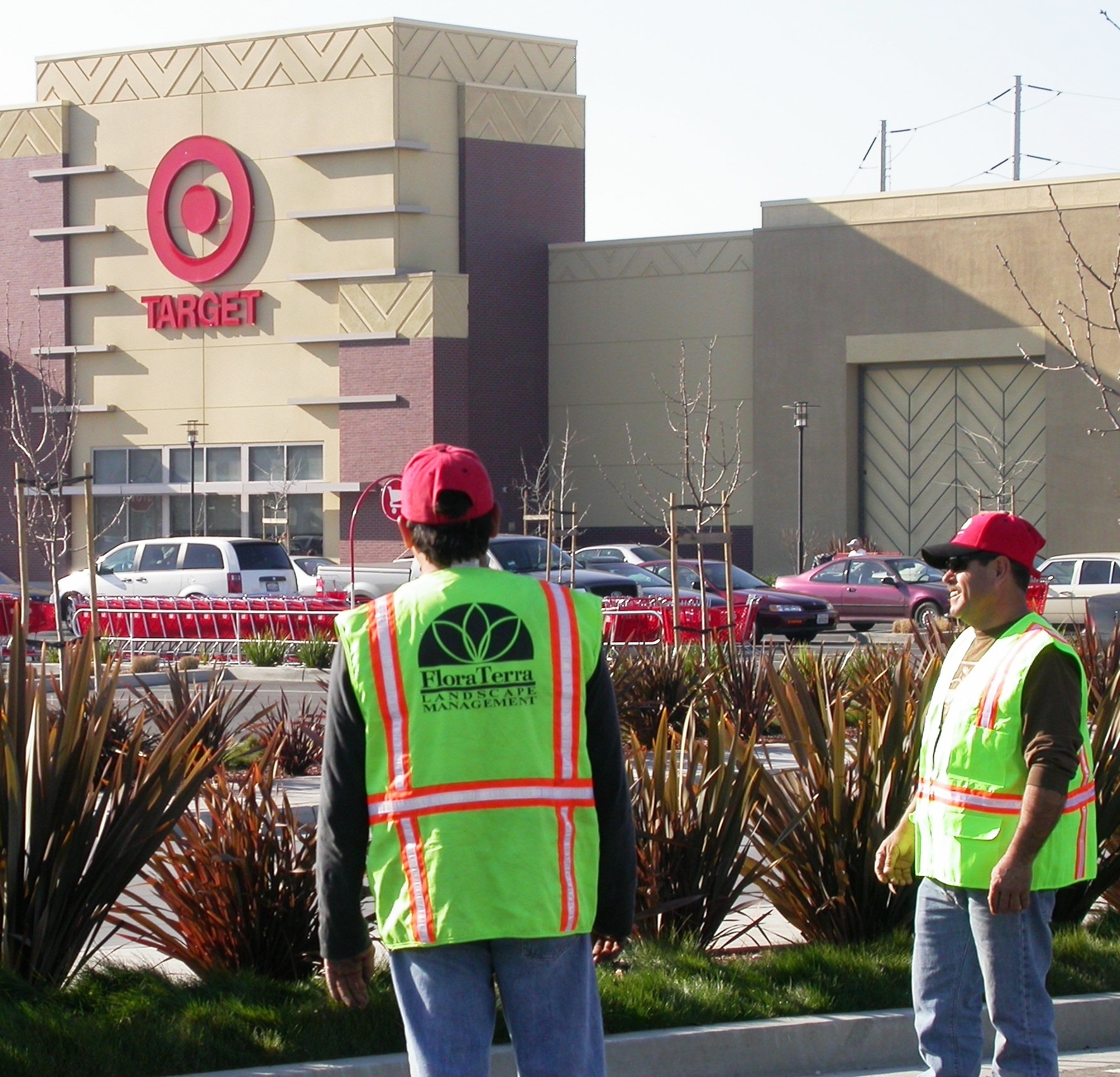 commercial landscape installation, San Jose Bay Area