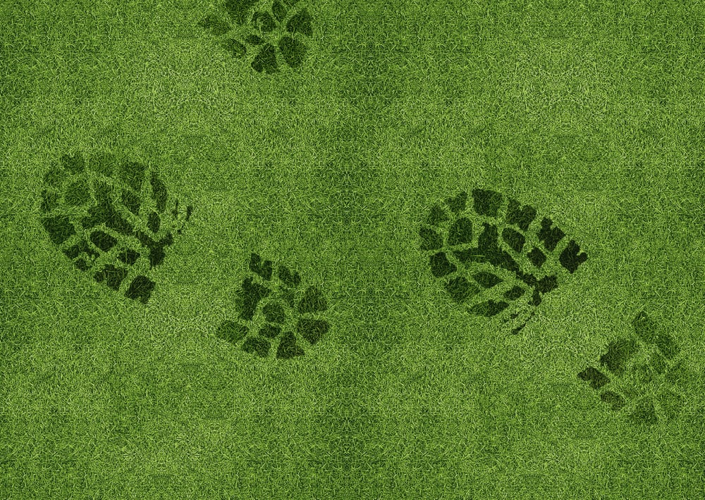 Commercial-Landscape-Contractor-FloraTerra-408.275.1200