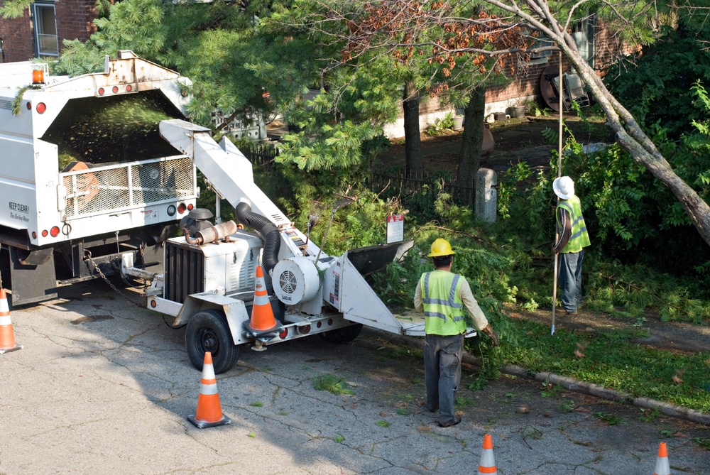 retail shopping center landscaping company and tree care