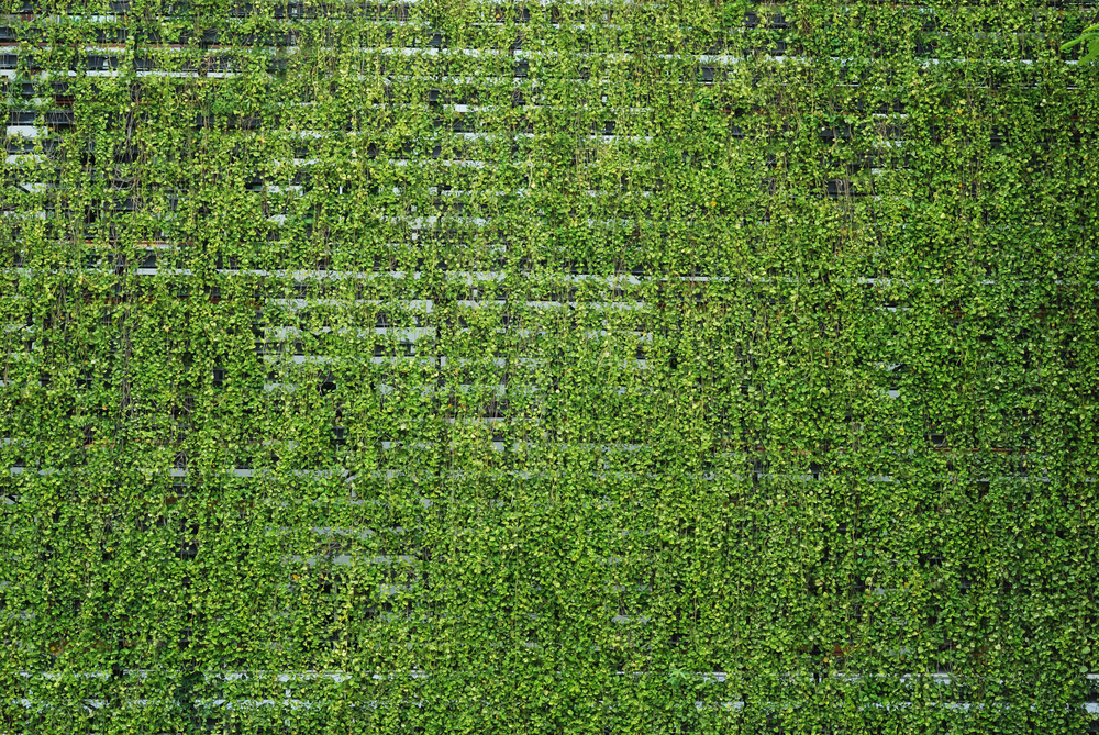 vertical garden walls