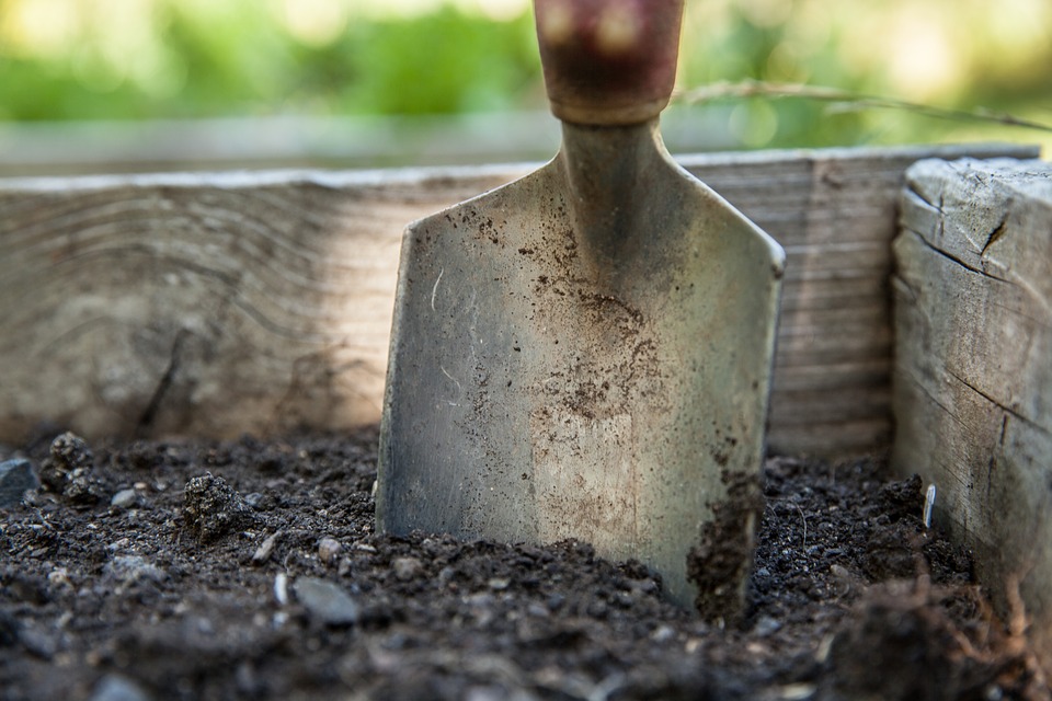 Retail Shopping Center Landscape Company